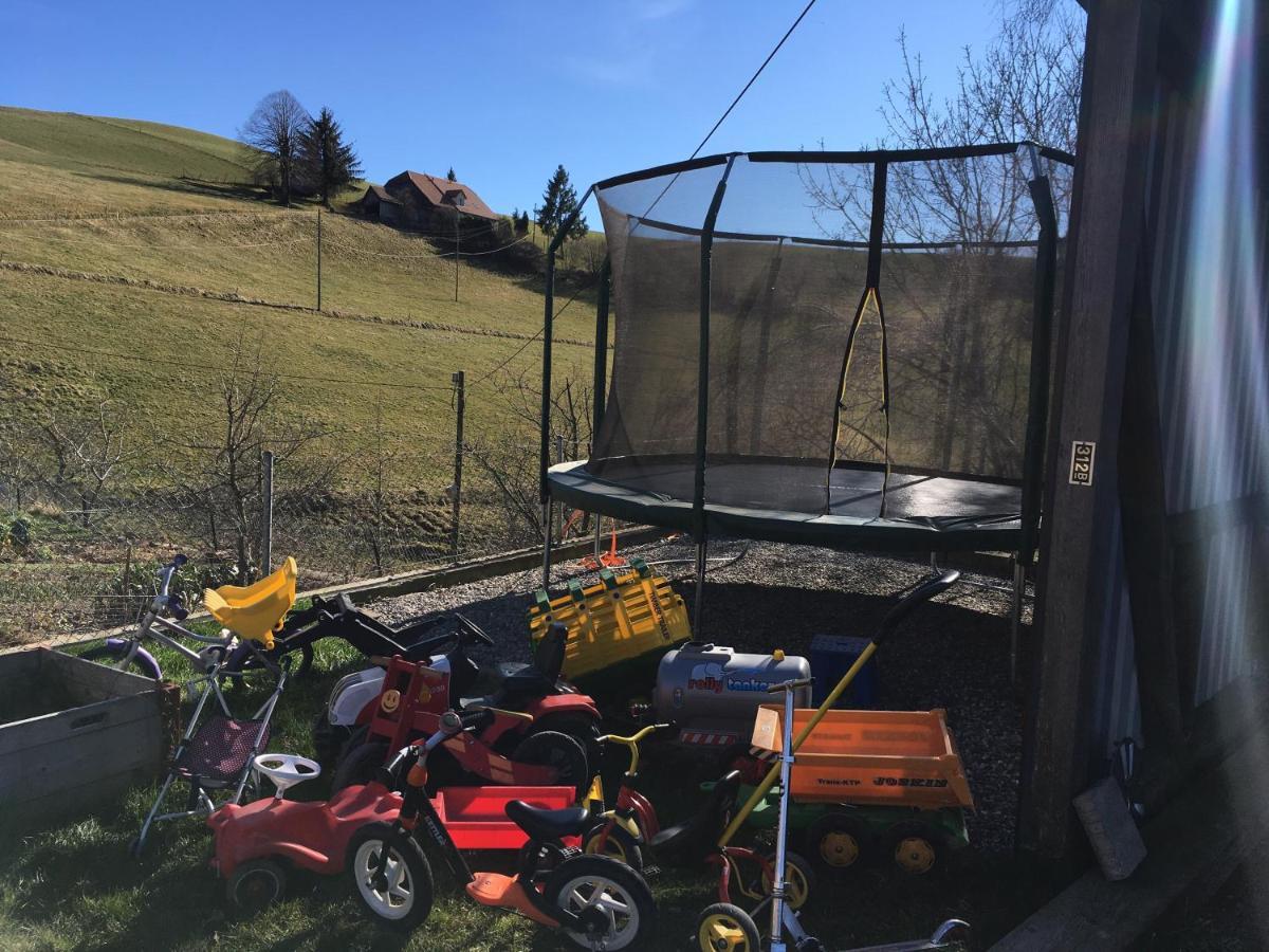 3,5 Zimmerferienwohnung Schwalbenaescht Rueeggisberg Bagian luar foto